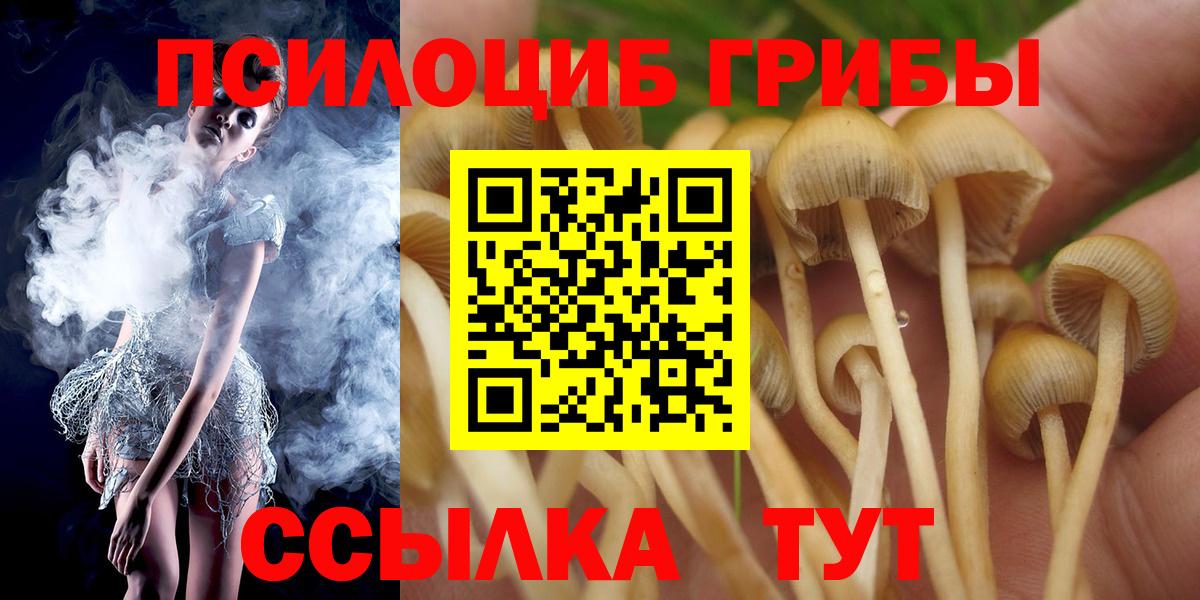 Галлюциногенные грибы Psilocybe Заринск