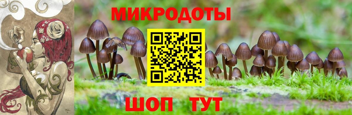 закладки  Вход с VPN  Заринск  Псилоцибиновые грибы прущие грибы 